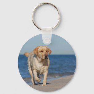 Gelbes Labrador Retriever am Strand Schlüsselanhänger