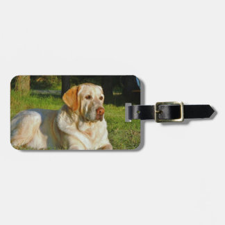 Gelbes Labrador retriever Gepäckanhänger