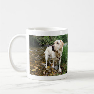 Gelbes Labrador Retriever Starre Pose Kaffeetasse