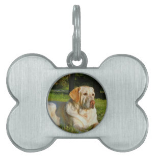 Gelbes Labrador retriever Tiermarke
