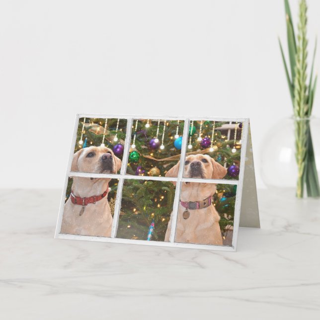 Gelbes Labrador Retrievers im Weihnachtsfenster Karte (Vorderseite)
