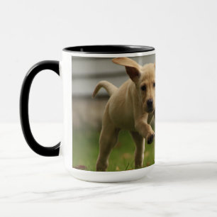 Gelbes Labrador-Welpen-Laufen Tasse