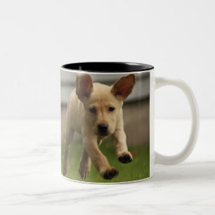 Gelbes Labrador-Welpen-Laufen Zweifarbige Tasse