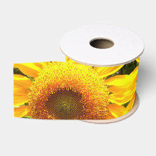 Gelbes Mammut-Sonnenblumen-Foto Ripsband