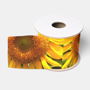 Gelbes Mammut-Sonnenblumen-Foto Ripsband