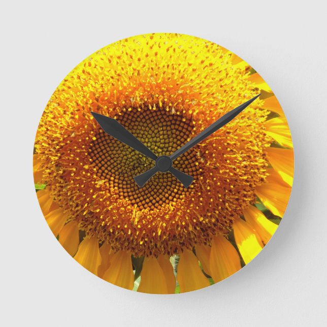 Gelbes Mammut-Sonnenblumen-Foto Runde Wanduhr (Vorderseite)