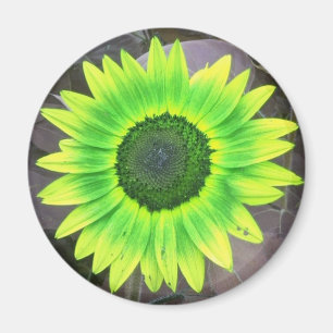 Gelbes N-grünes Sonnenblumenmagazin Magnet
