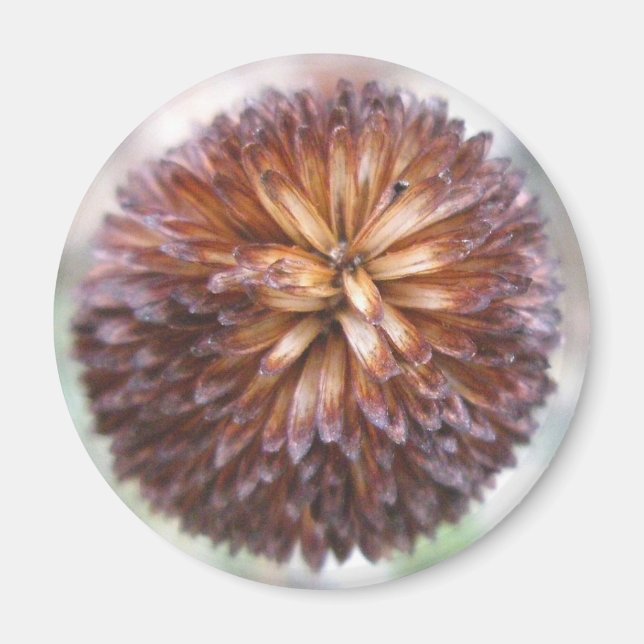 Gelbes Nadelkopfmagnet Magnet (Vorne)
