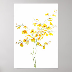 Gelbes Oncidium Orchideus Poster