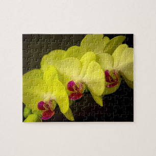 Gelbes Orchid - Foto Puzzle