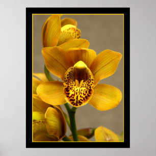 Gelbes Orchid-Poster Poster