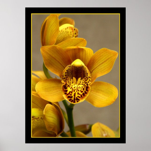 Gelbes Orchid-Poster Poster (Vorne)