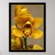 Gelbes Orchid-Poster Poster (Vorne)
