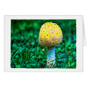 Gelbes Pilz/Natur/Aquarellbild