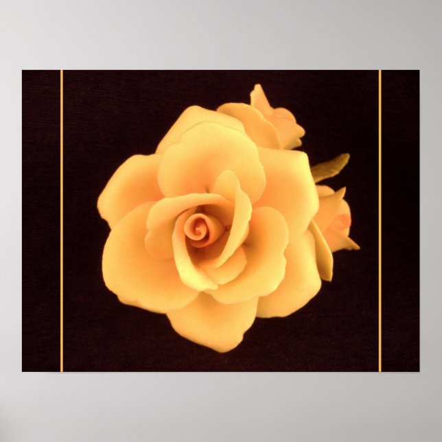 Gelbes Rose, Foto 2004. Poster (Vorne)