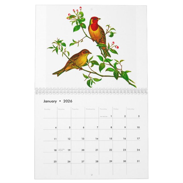 Gelbes Rosella Kalender (Jan 2026)