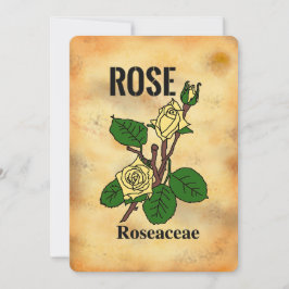 Gelbes Rosen gealtertes Papier Stil Linienkunst Fl