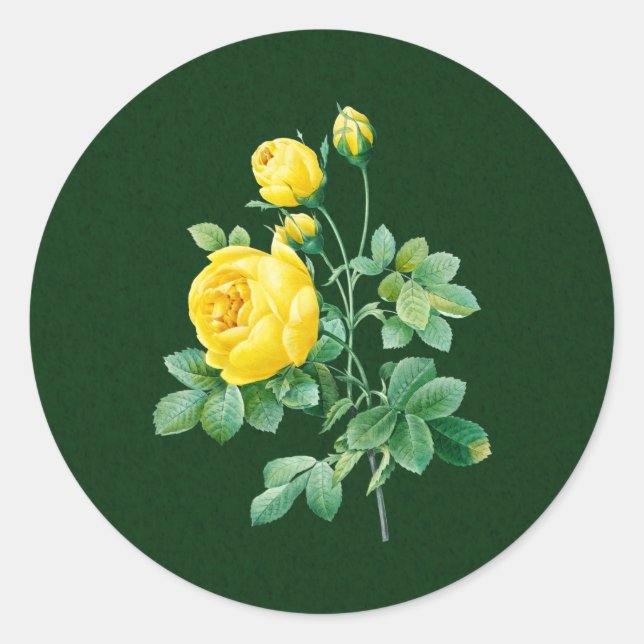 Gelbes Rost und Rosenknospe Runder Aufkleber (Vorderseite)