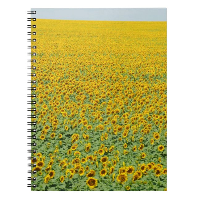 Gelbes Sonnenblume-Feld Notizblock (Vorderseite)