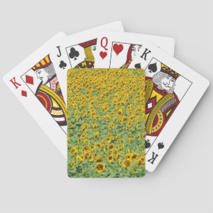 Gelbes Sonnenblume-Feld Spielkarten