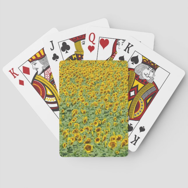 Gelbes Sonnenblume-Feld Spielkarten (Rückseite)