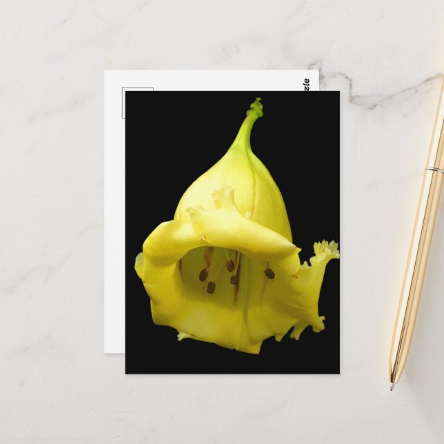 Gelbes tropisches Blossom Postkarte (Vorderseite/Rückseite Beispiel)