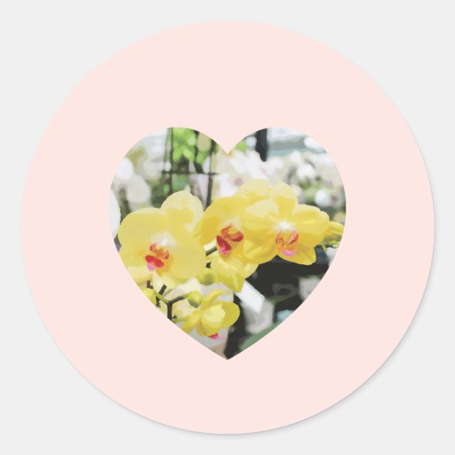 Gelbes tropisches Herz der Orchideen Blume Runder Aufkleber (Vorderseite)