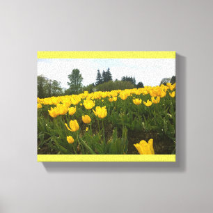 Gelbes Tulip Feld, Oregon Leinwanddruck