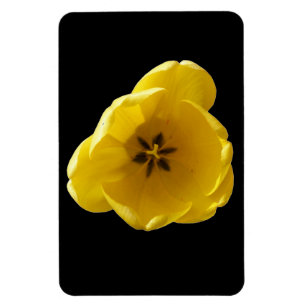 Gelbes Tulip Premium Magnet