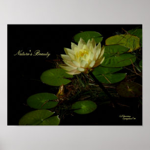 Gelbes Wasser-Lippen-Poster Poster