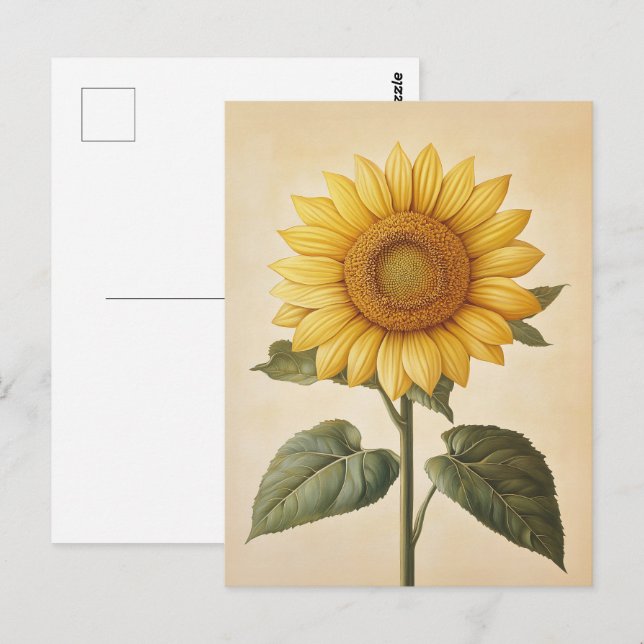 Gelbfarbener Sonnenblumenhintergrund Postkarte (Vorne/Hinten)