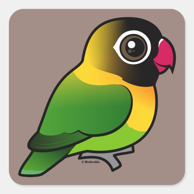 Gelbfärbung Lovebird Quadratischer Aufkleber (Vorderseite)