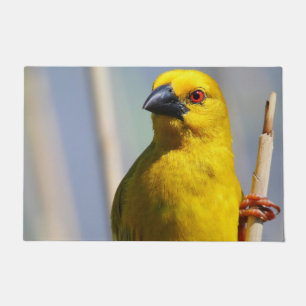 Gelbfinch Fußmatte