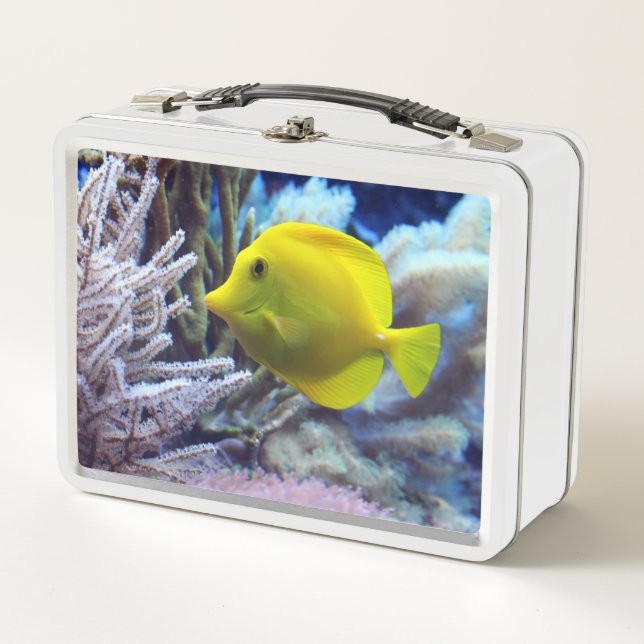 Gelbfisch Metall Brotdose (Vorderseite)