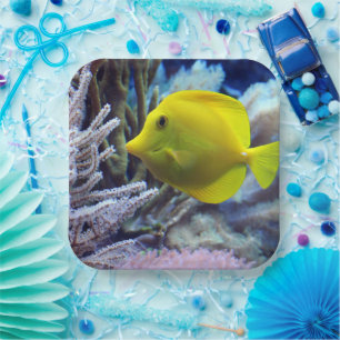 Gelbfisch Pappteller