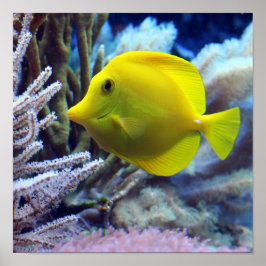Gelbfisch Poster