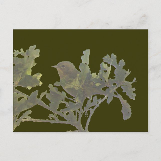 Gelbfliege Postkarte (Vorderseite)