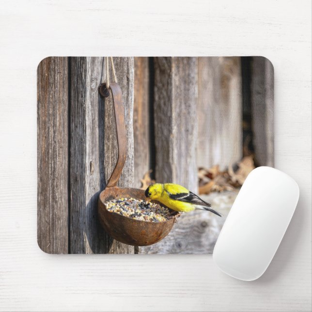 Gelbflügelgimpel auf rostiger Kelle Mousepad (Mit Mouse)