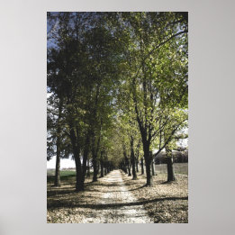 Gelbforst-Poster Poster