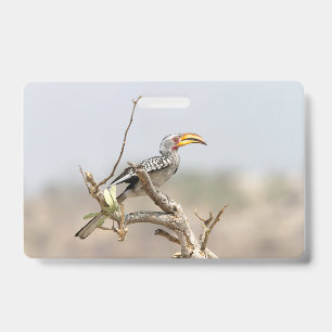 Gelbgeschnabelter Hornvogel Ausweis