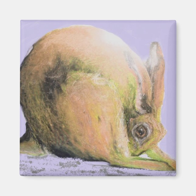 Gelbhase Magnet (Vorne)