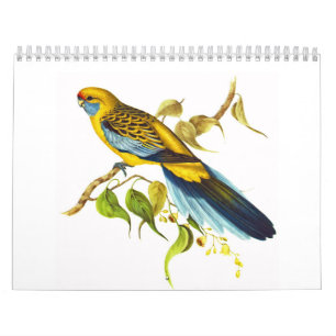Gelbhaubensittich Kalender