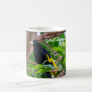 Gelbkauz Kaffeetasse