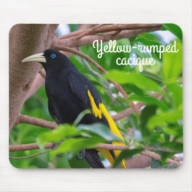 Gelbkauz Mousepad (Vorne)