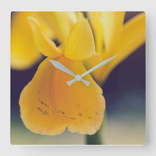 Gelblilie Quadratische Wanduhr (Vorderseite)