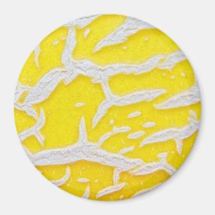 Gelbmelone Magnet