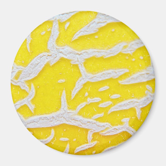 Gelbmelone Magnet (Vorne)