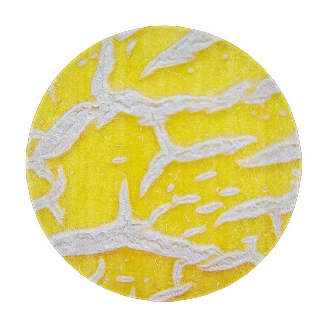 Gelbmelone Schneidebrett (Vorderseite)