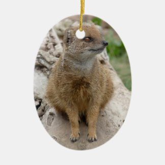 Gelbmongoise Keramikornament