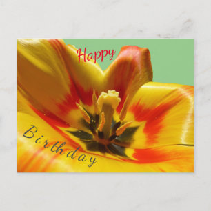 Gelborange Tulpe Frohe Geburtstag Postkarte